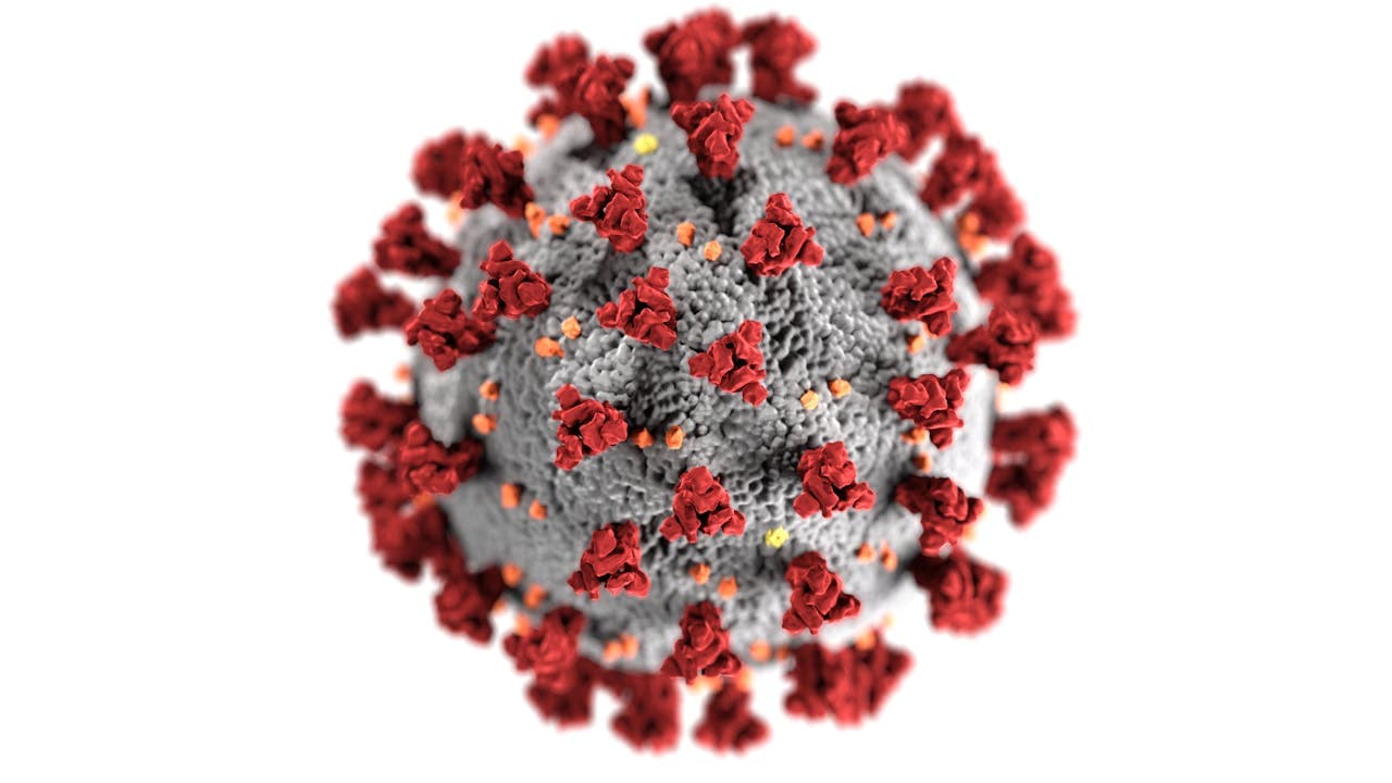 soyuqdeyme virus